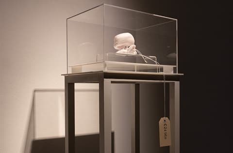 'Rendered Other and Cast Out' by Elizabeth Cole