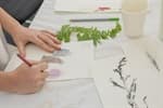 Eco-Drawing for Kids Workshop (ages 6-12)