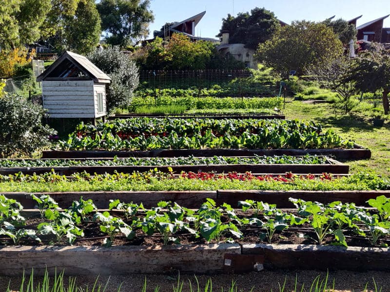 Complete Urban Farmer