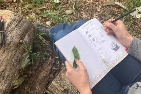Nature Journaling