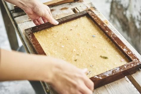 Natural Seed Paper Making