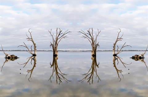 'Water bodies' exhibition