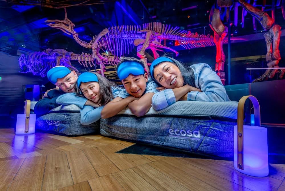 Family Museum Sleepovers