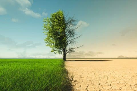 Climate Conversations