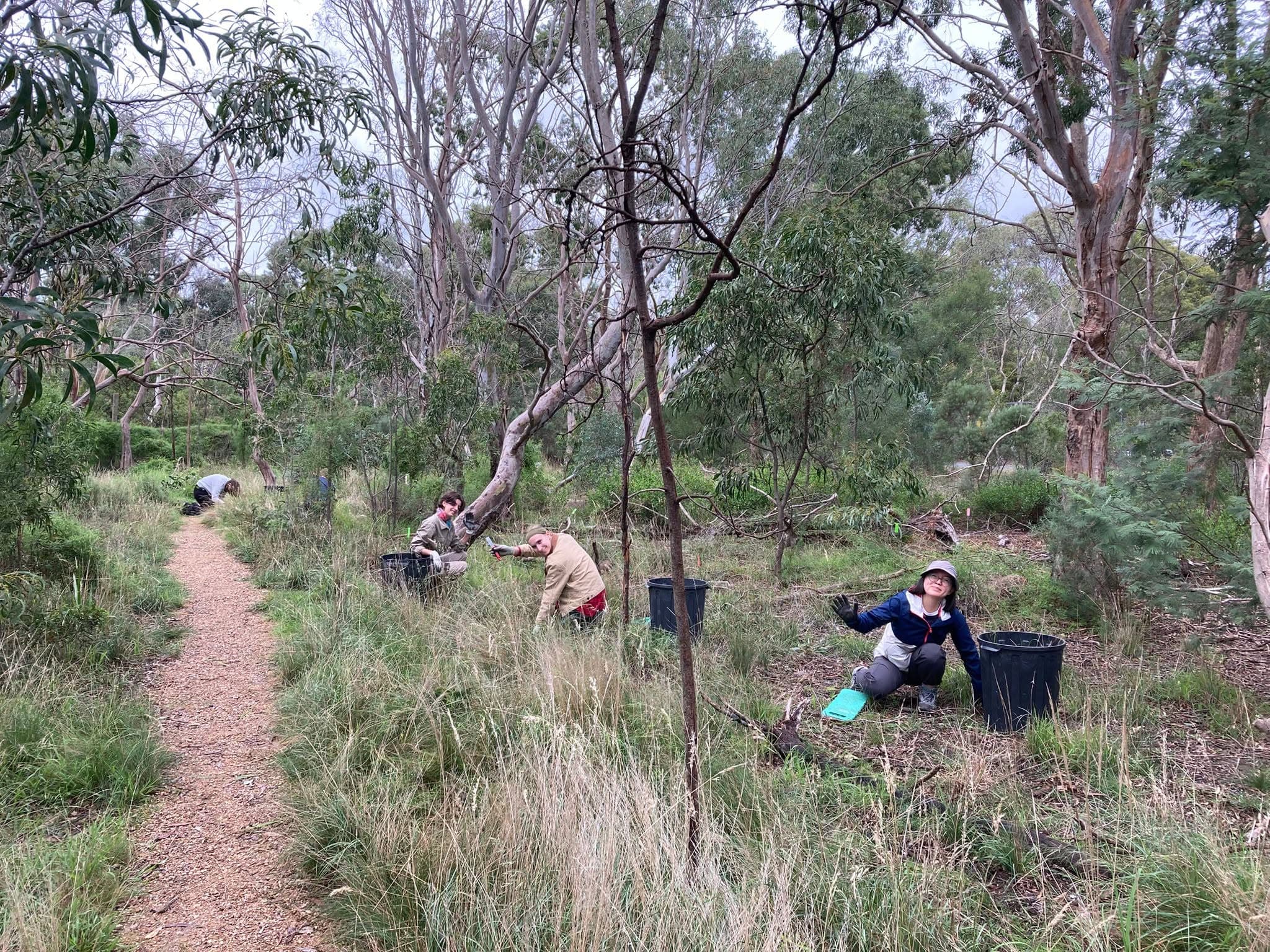 Community volunteering