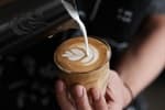 Barista basics (15-25 years)