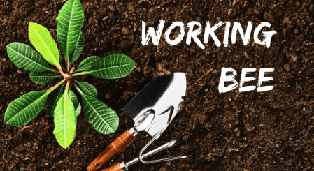 Working Bee