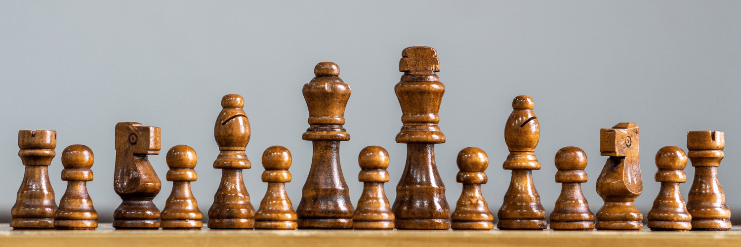 Chess for Adults