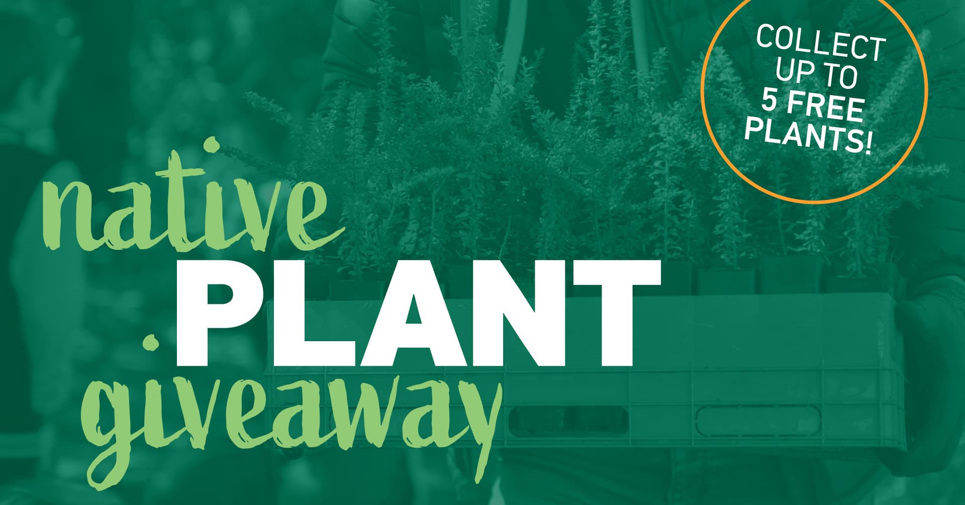 Free Native Plant Giveaway