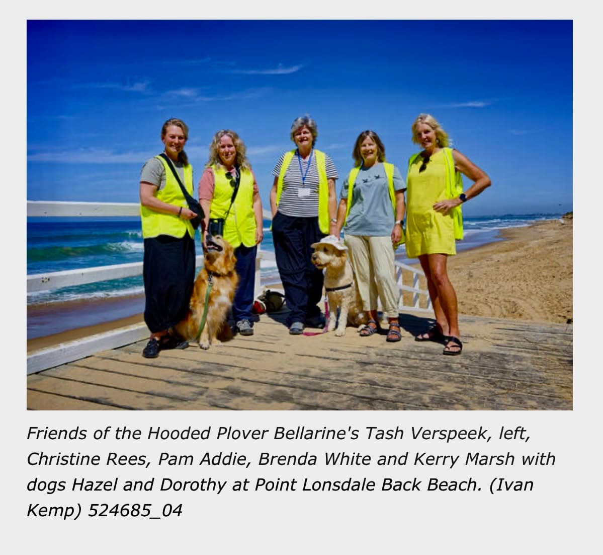 Hooded Plover Volunteer Training Workshop