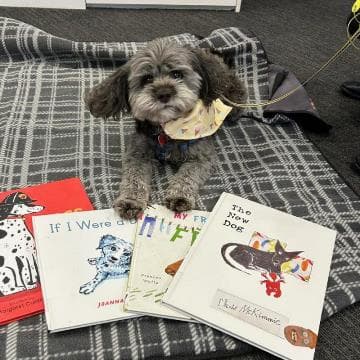 Reading Dogs with Kaya