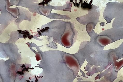 Natural Pigment Laboratory