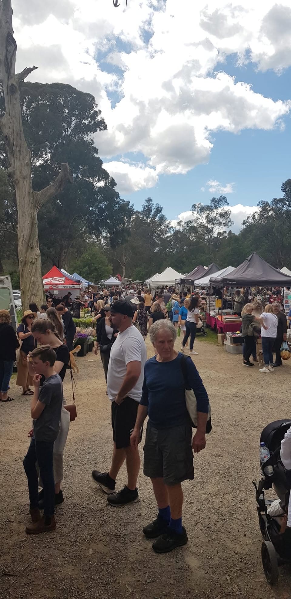 Warrandyte Riverside Market