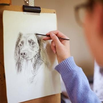 Sketch Skills