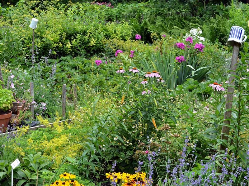 Creating Sensory Garden Spaces
