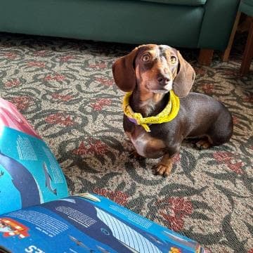 Reading Dogs with Frida